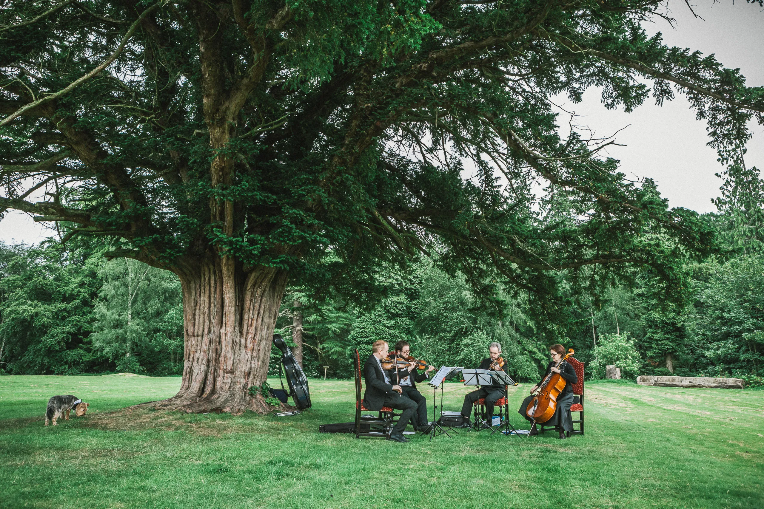 Alex at work — wedding and portrait photography in Scotland 2